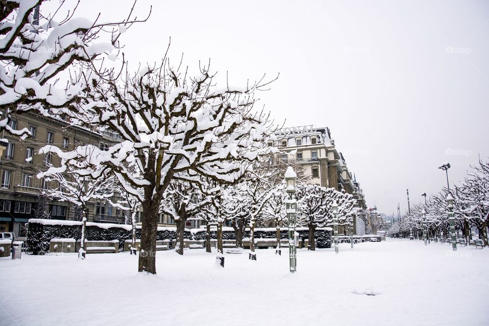 Luzern winter morning 