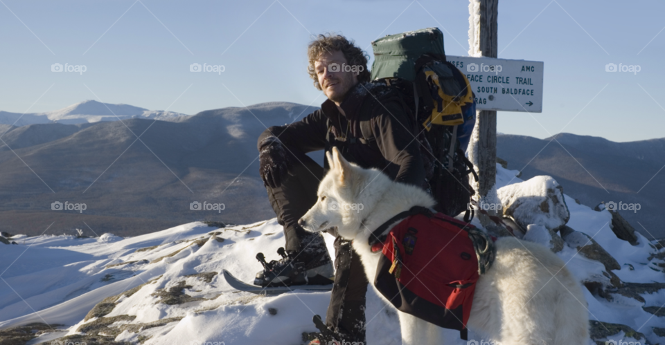 snow winter wolf white dog by bobmanley