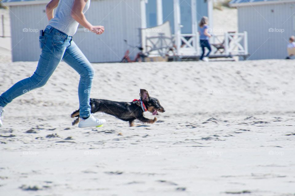 Running on the beach with the dog