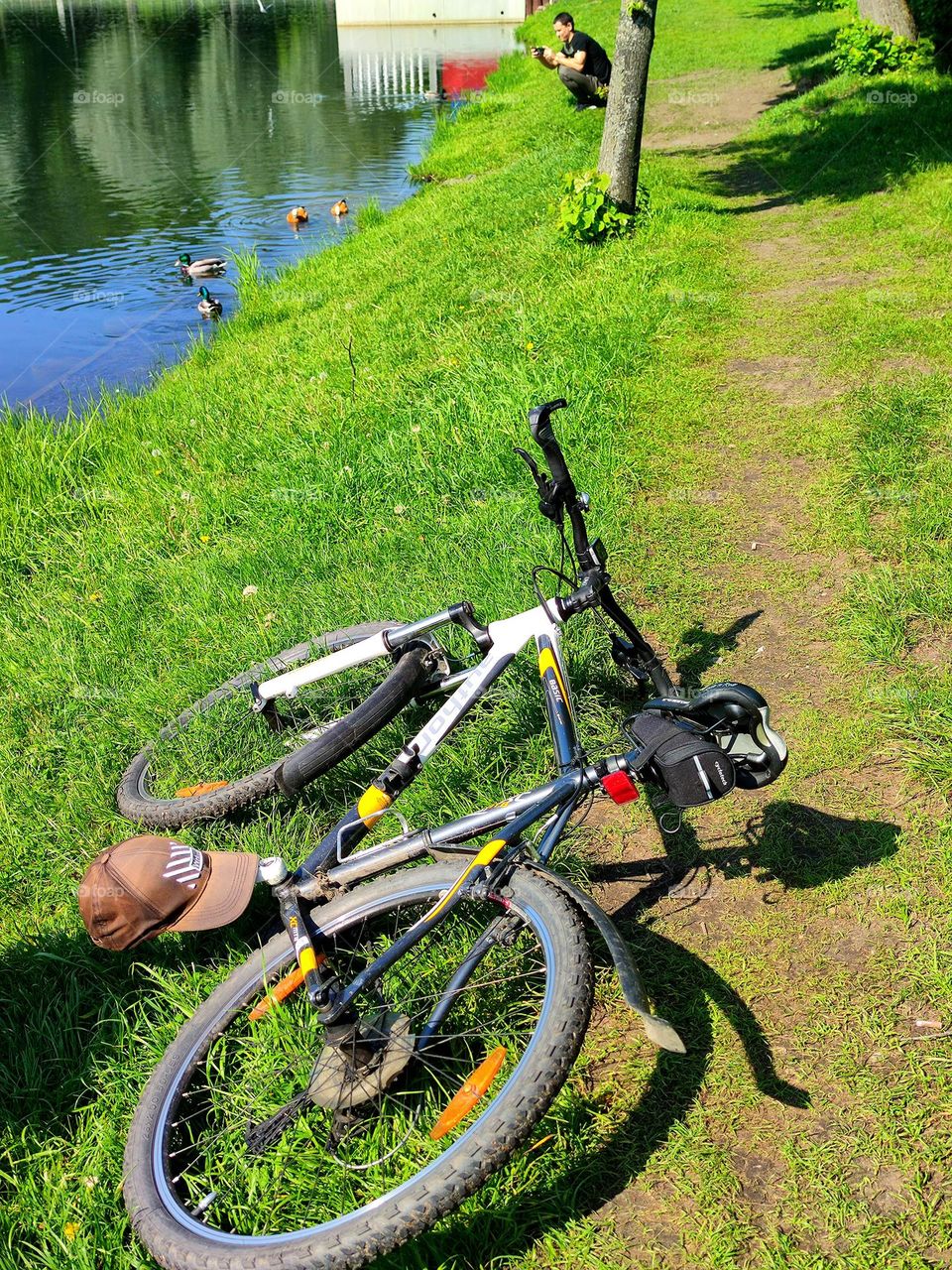 A bicycle lies on the green grass of the shore.  In the background, a man is sitting photographing ducks in blue water.