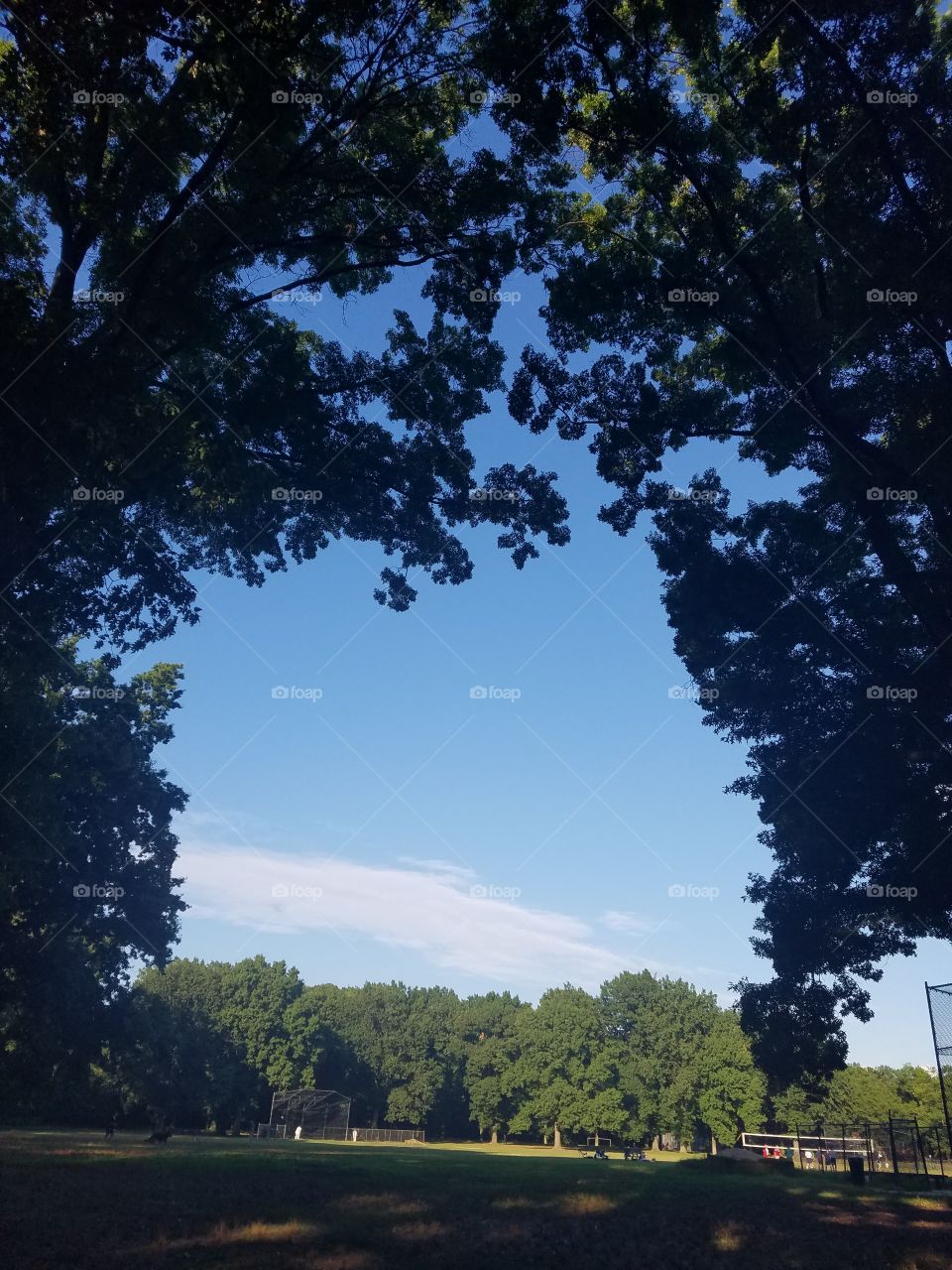 Serene blue sky surrounded by nature