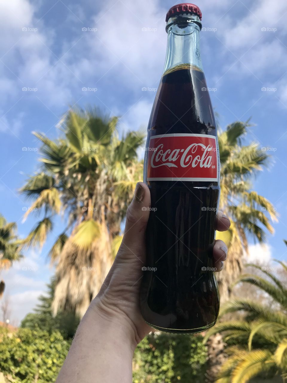 Coca Cola bottle and palm trees 