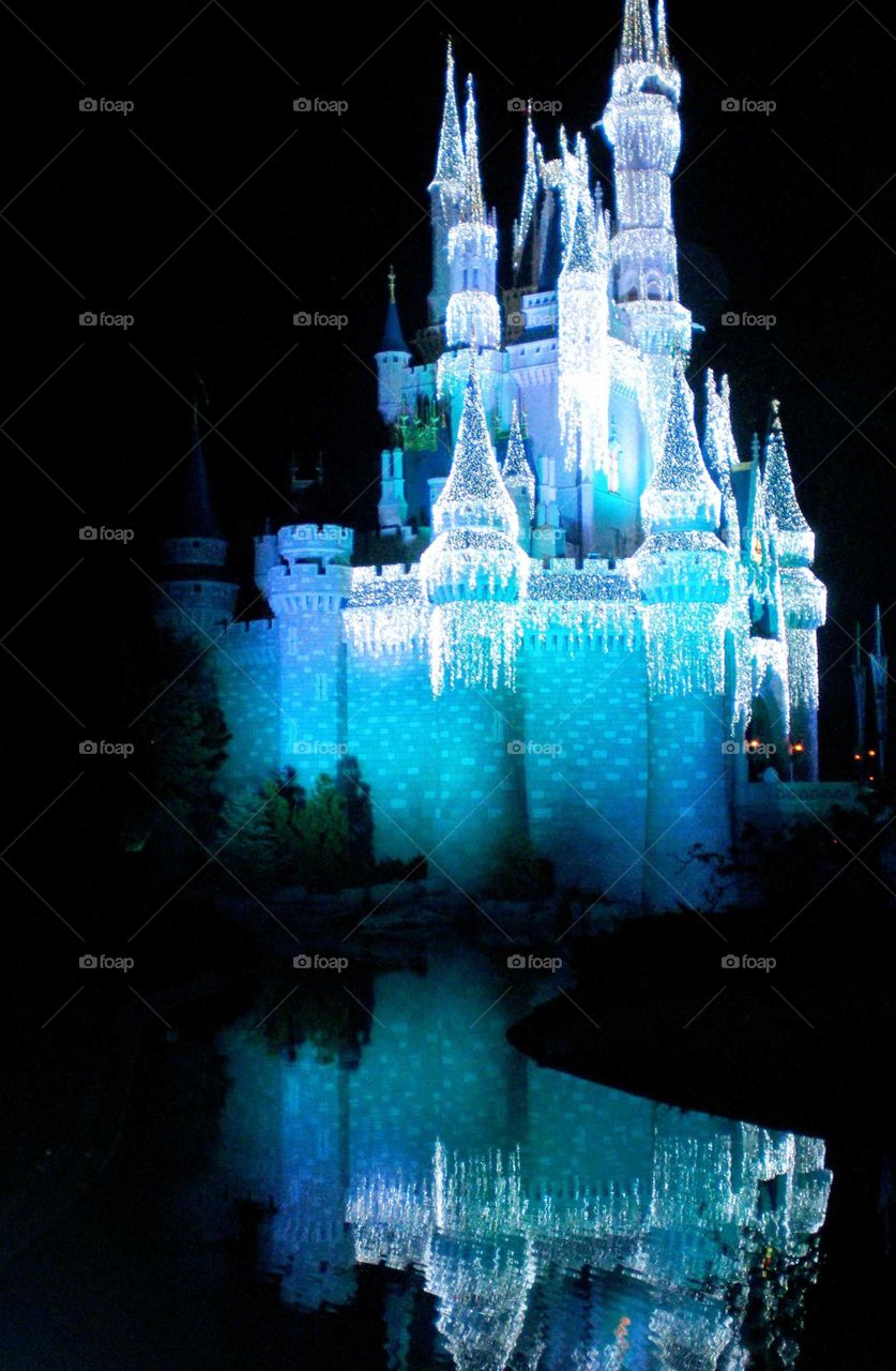 Disney Castle at Disneyworld