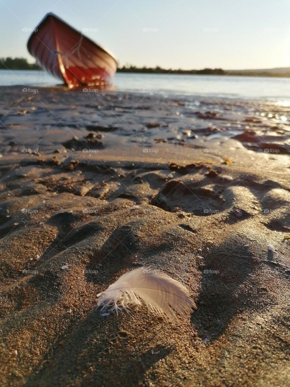 There is a bird's feather left on the sand on the island