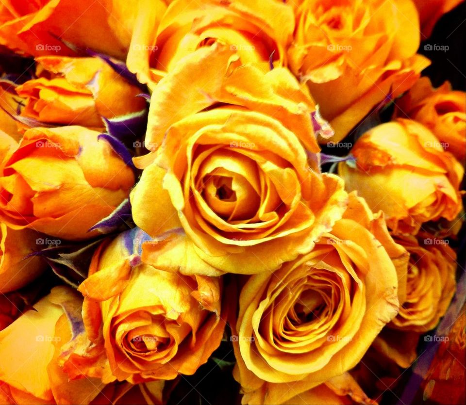 Yellow bouquet 