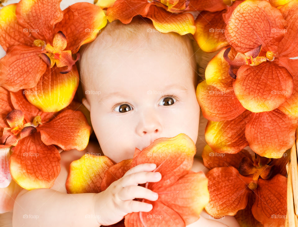 Close-up of a cute baby with flowers