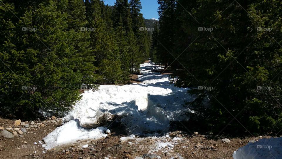 A little Snow on the trail