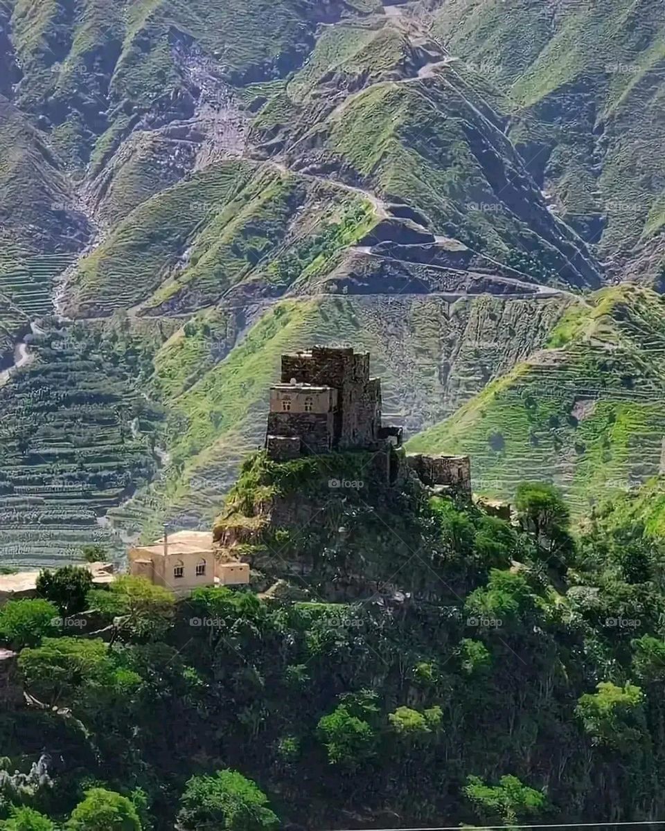 A very beautiful picture, and there is no better picture than it. There is no better picture of green herbs and colorful, red and white roses than it. Glory be to God, the natural and picturesque view, and there is no more