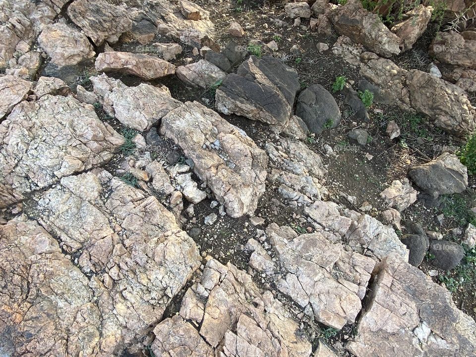 Amazing photo for desert 🌵