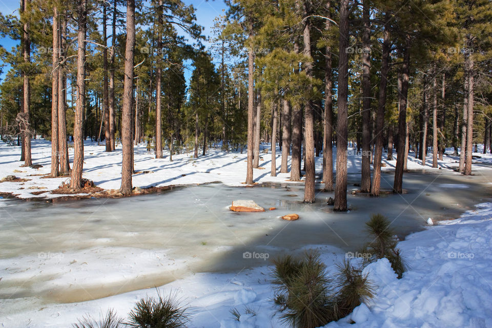 Winter in the desert