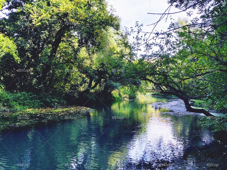 Green vibes,summer mood.