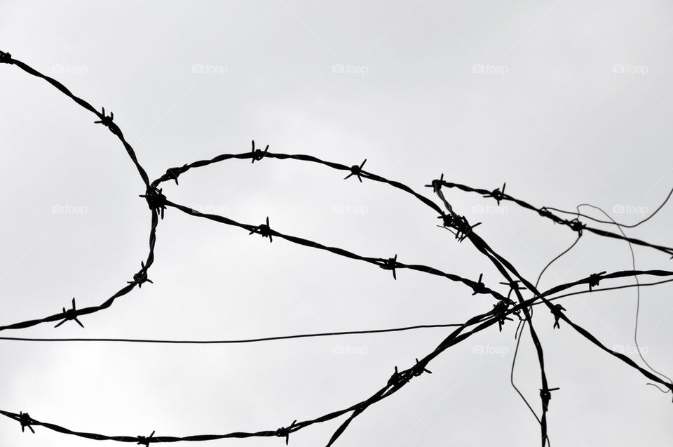 Barbed wire