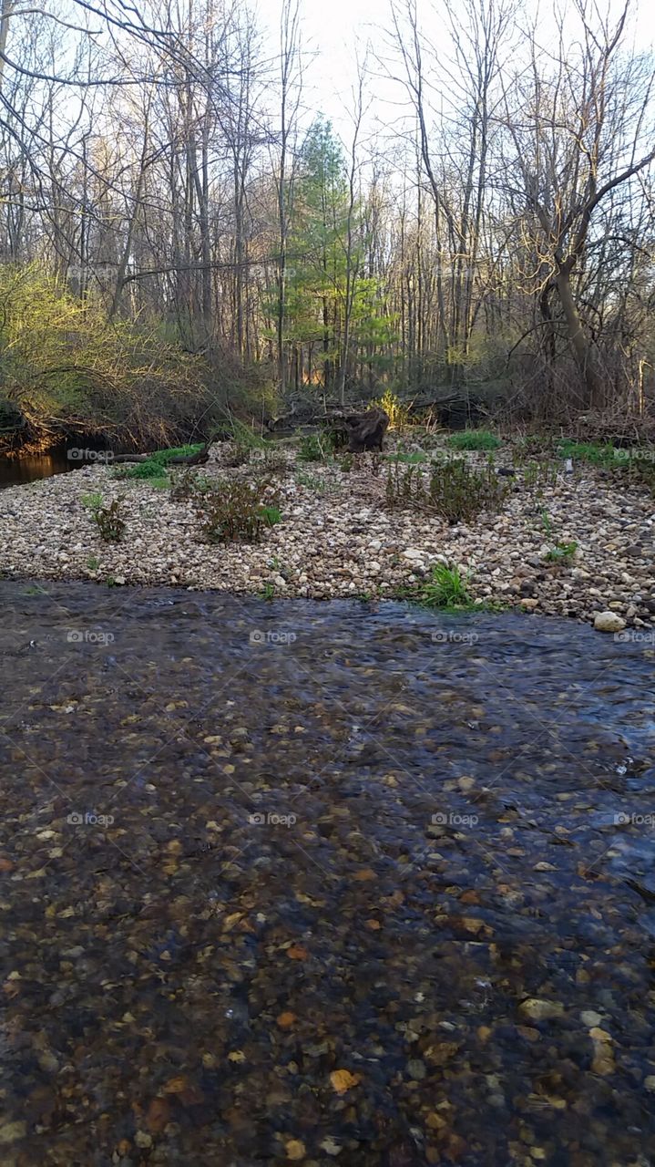 peaceful river
