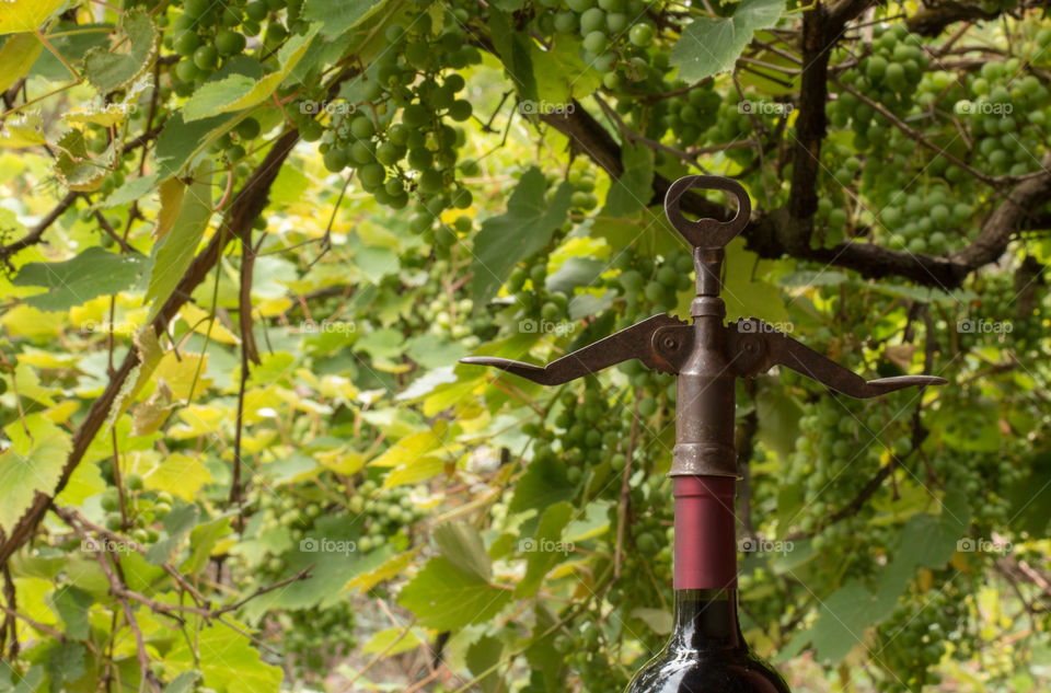 wine corkscrew