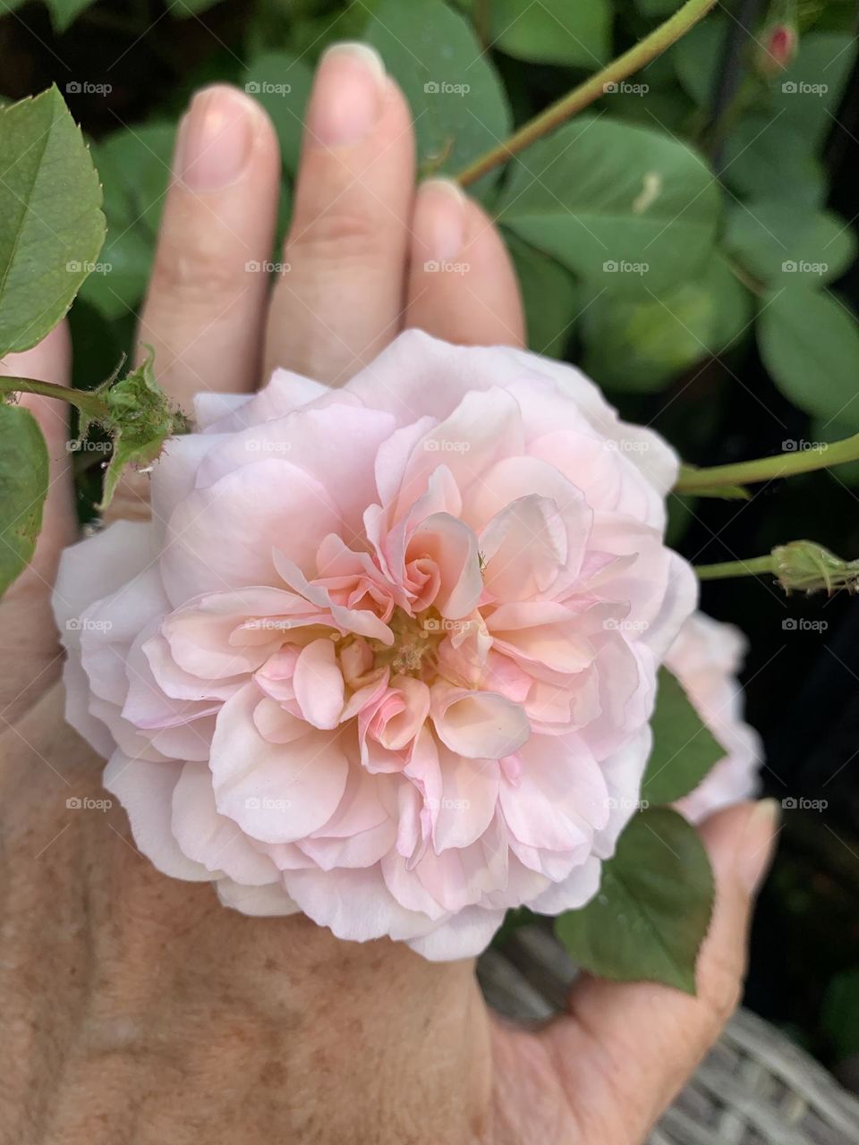 Flower hand jewellery 