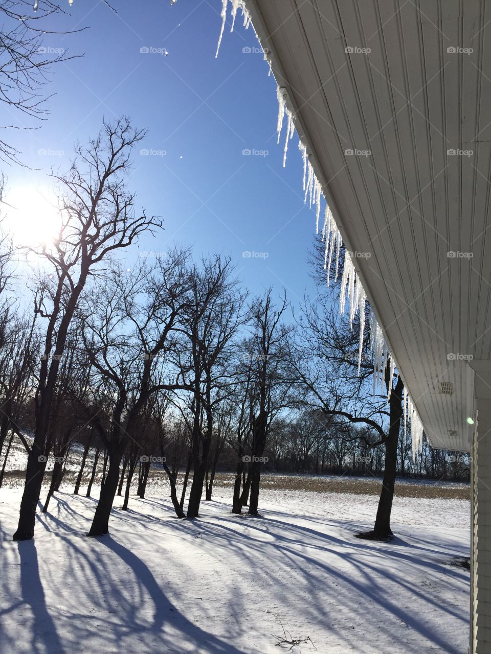 A Bright Winter Day