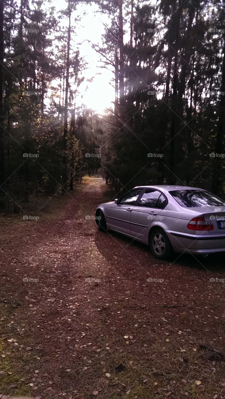 with car