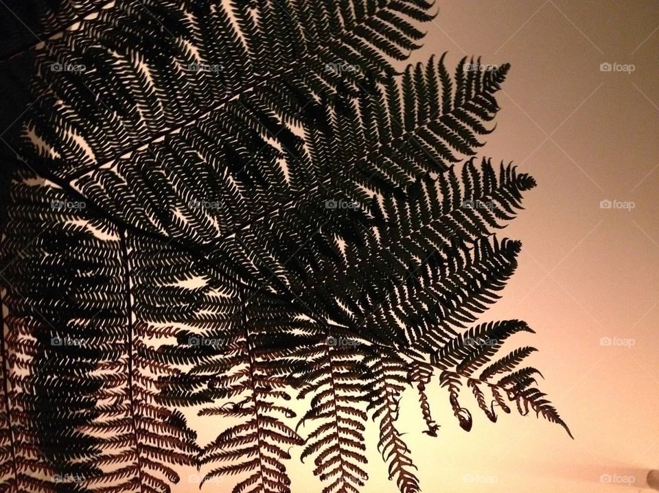 Plant silhouette (2)