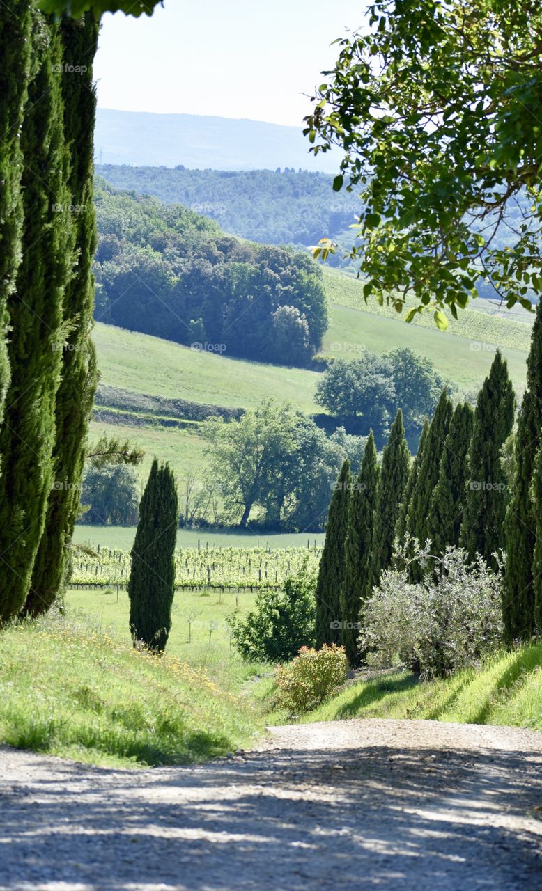 Fattoria Voltrona - San Gimignano - Tuscany - Italy