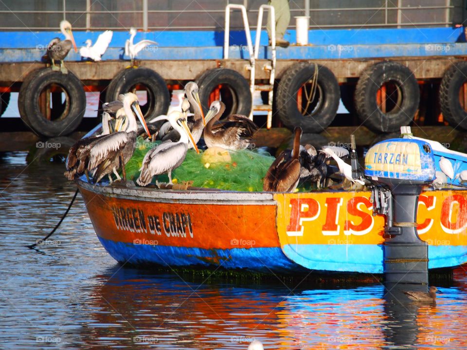 Fisherman boat in Peru