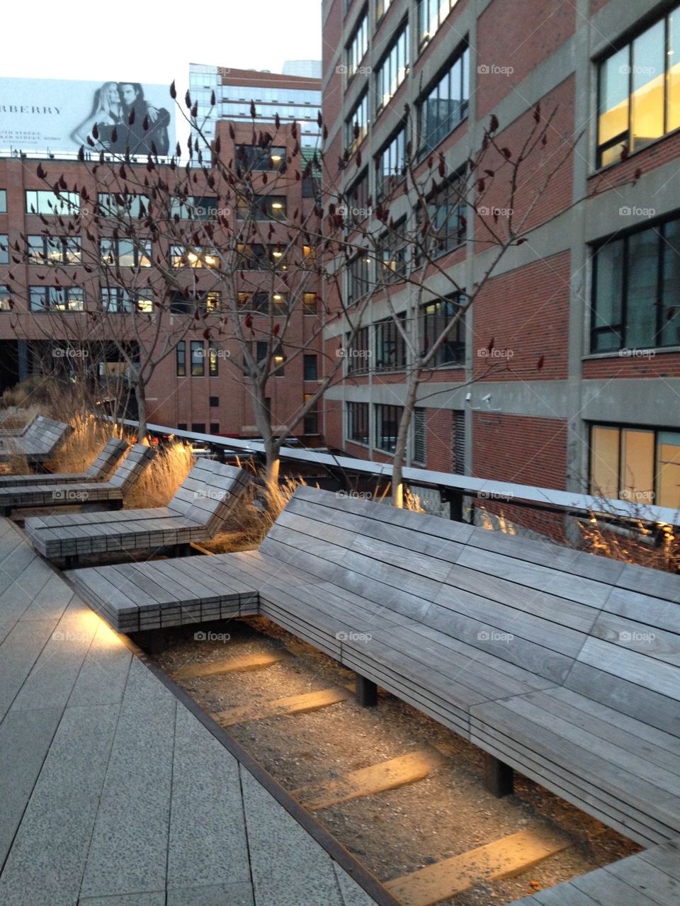 The High Line 
