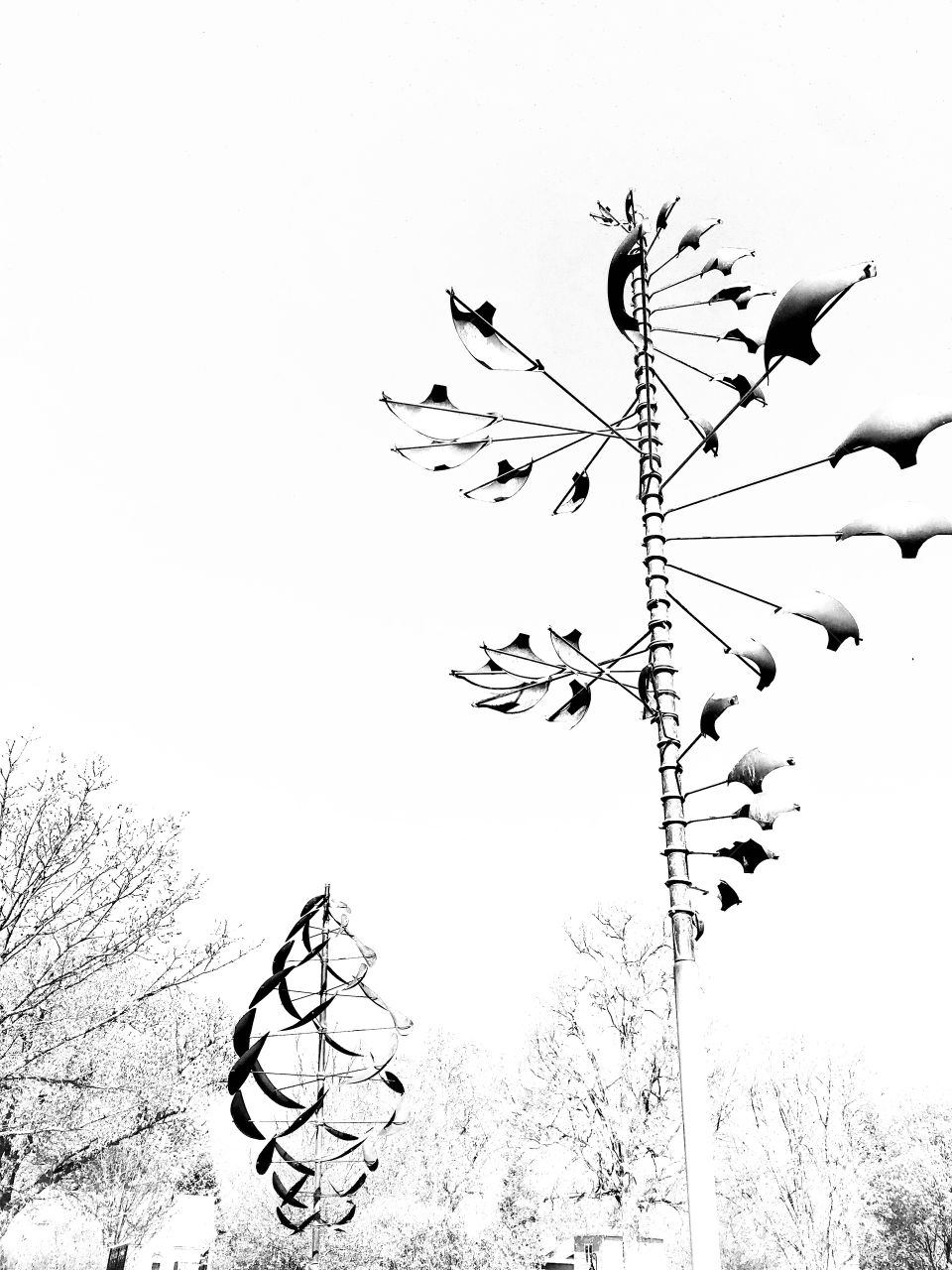 Gorgeous sites seen out for morning walk while trying to take in what nature all has to offer! 