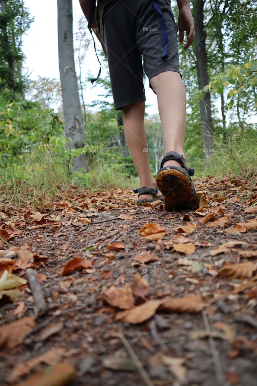 Walking on forest path at fall season 