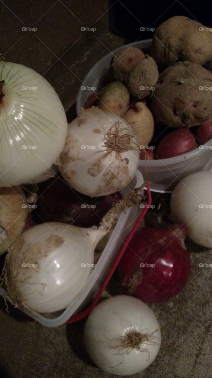 No Person, Food, Garlic, Cooking, Vegetable