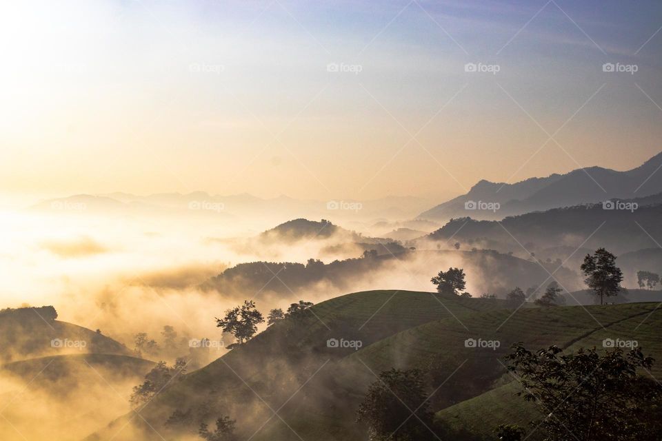 Nature in Vietnam 