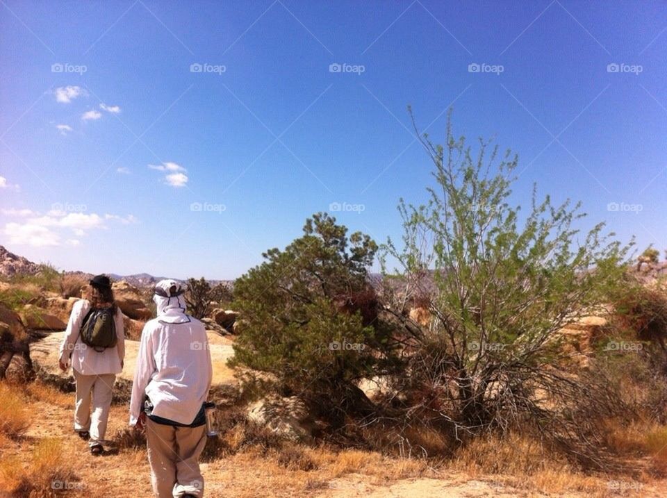 Desert Hike