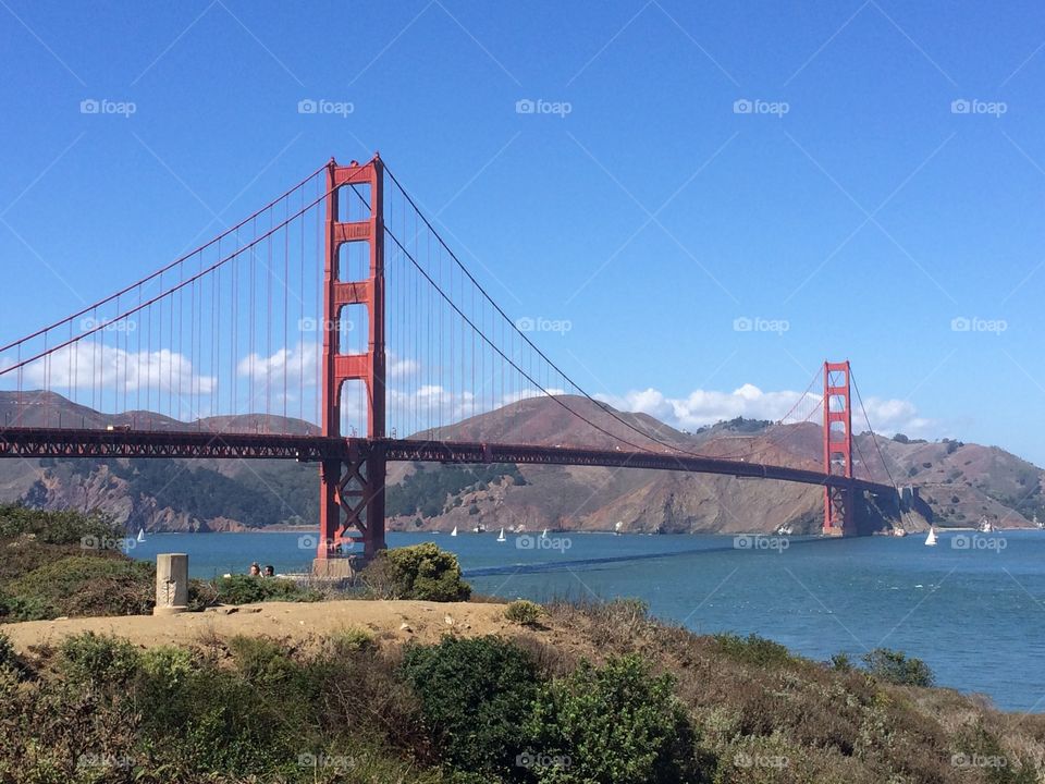 Golden Gate Love 