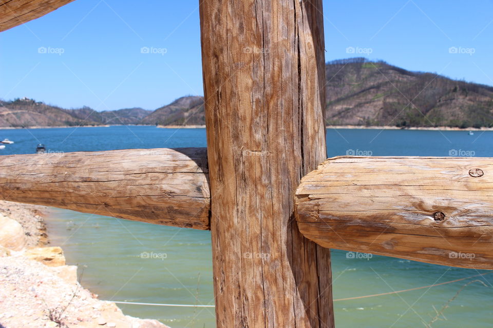 Wood trunk, water and island