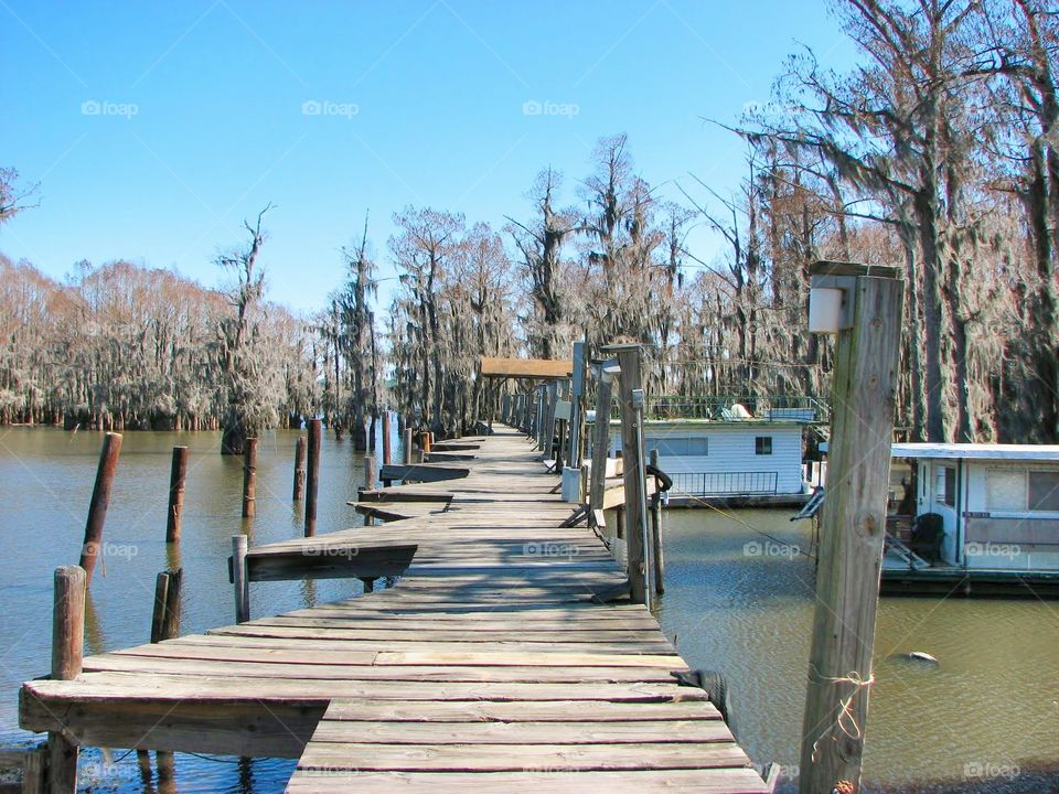 Eerie Lake. Enjoyed our Louisiana trip. The trees and moss gives it a special feel.