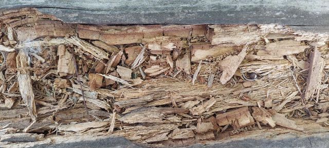 Wood