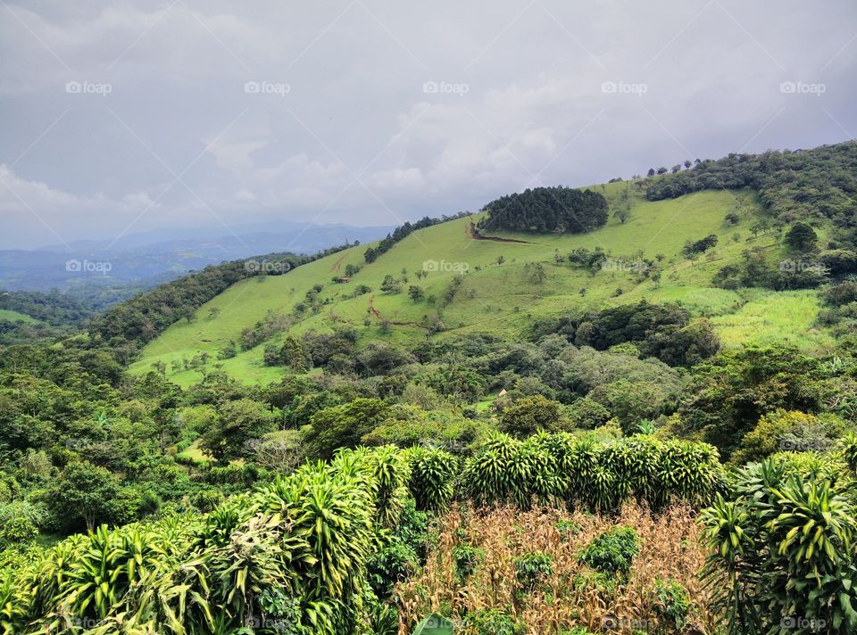 Rural landscape. Afternoon in San Ramón Costa Rica
