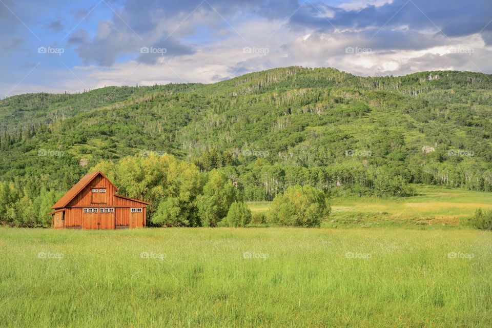 Living in the country 