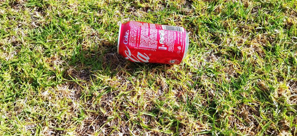 delicious Coca-Cola on green grass in the garden.