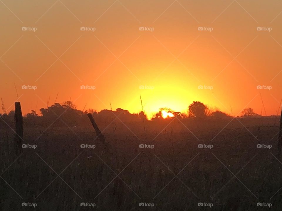 Atardecer Sol luz campo reflejos 