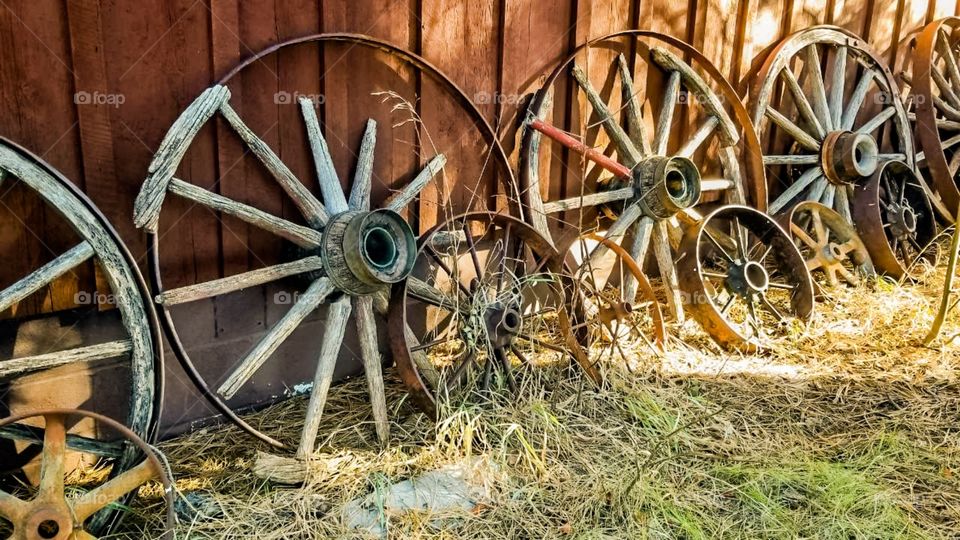 Old wagon's wheels in the farm