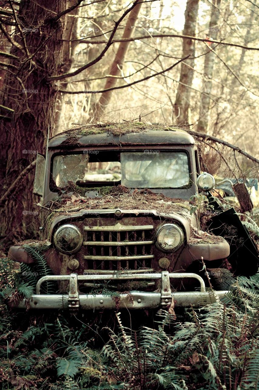 Abandoned Car