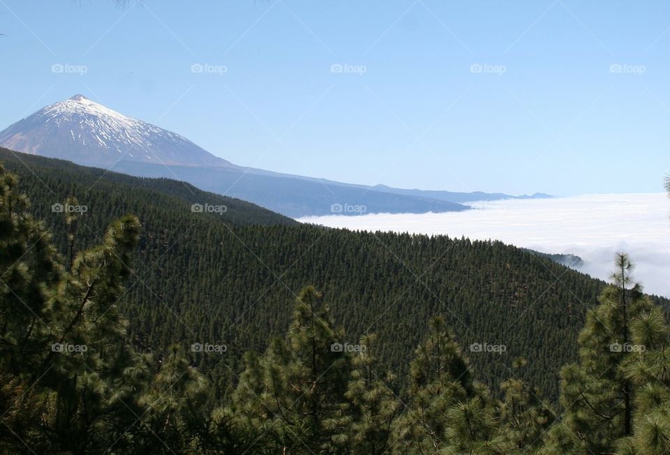 teide above the clouds