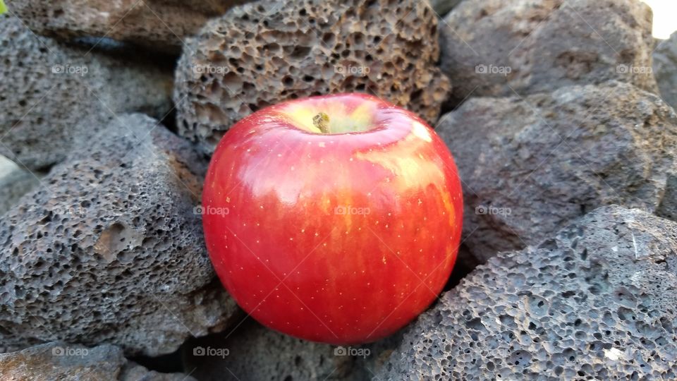 Red apple on the lava rocks