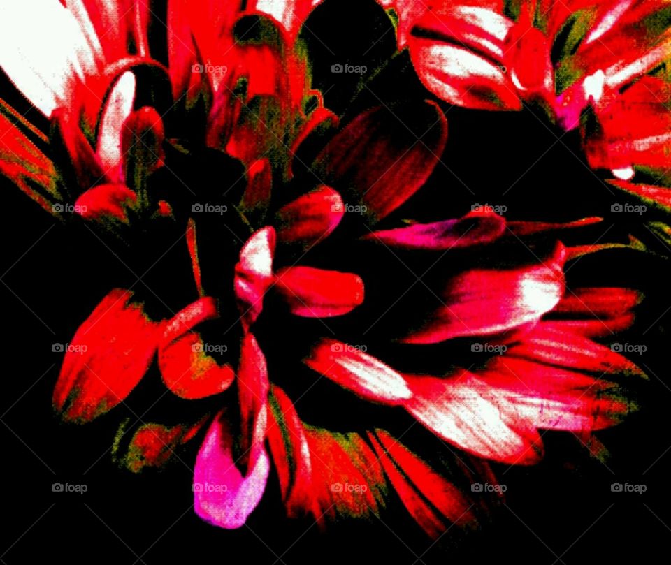 Christmas. lighting effects