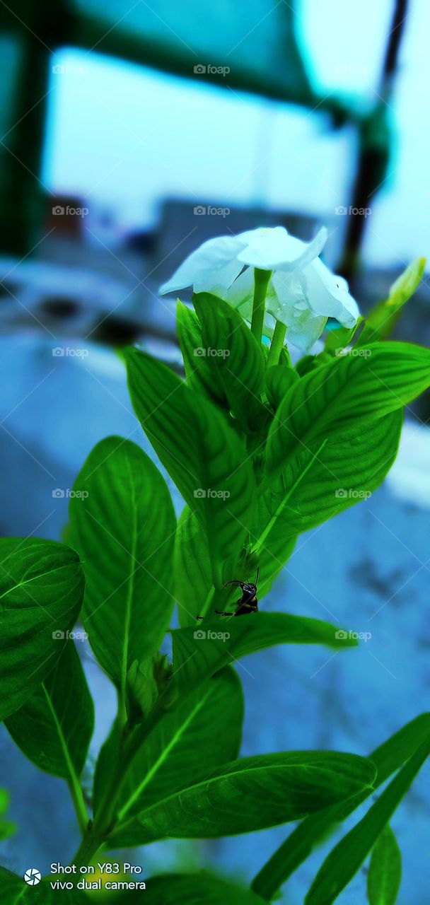 #foap #infoapartemen #foapjuly18 #foapaug18 #foapfeb18 #foapapril17 #foapers #foapjune18 #fotografoaprendiz #sfoapprentices #foaper #infoapartment #foapmission #foapmay18 #foapapr18 #foapit #infoaplikasipaytren #infoapple #foapom #foapjan19 #infoapp