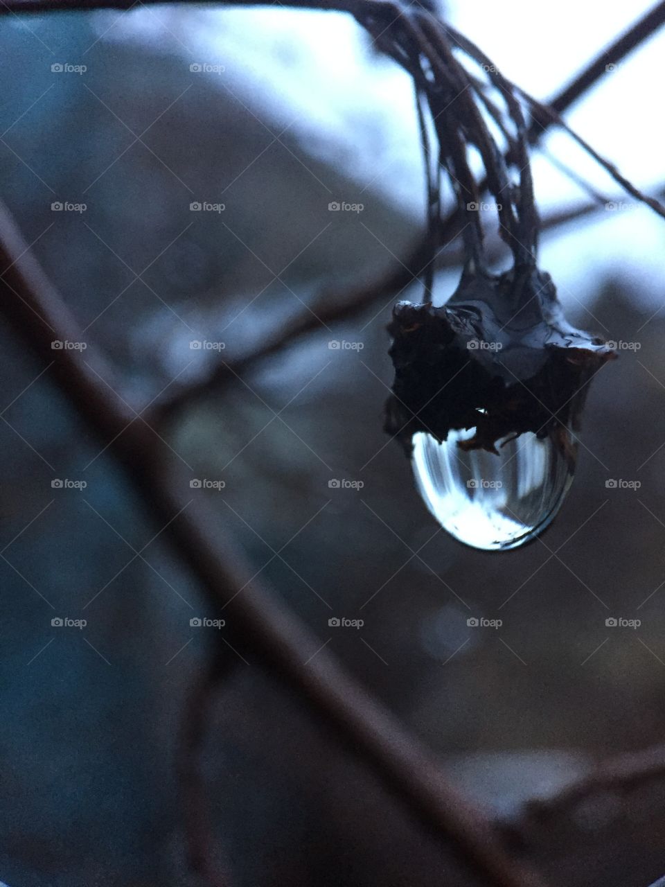 Rainbow in a Raindrop 