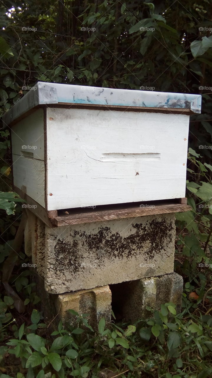 Bee keepers  Hive Portrait