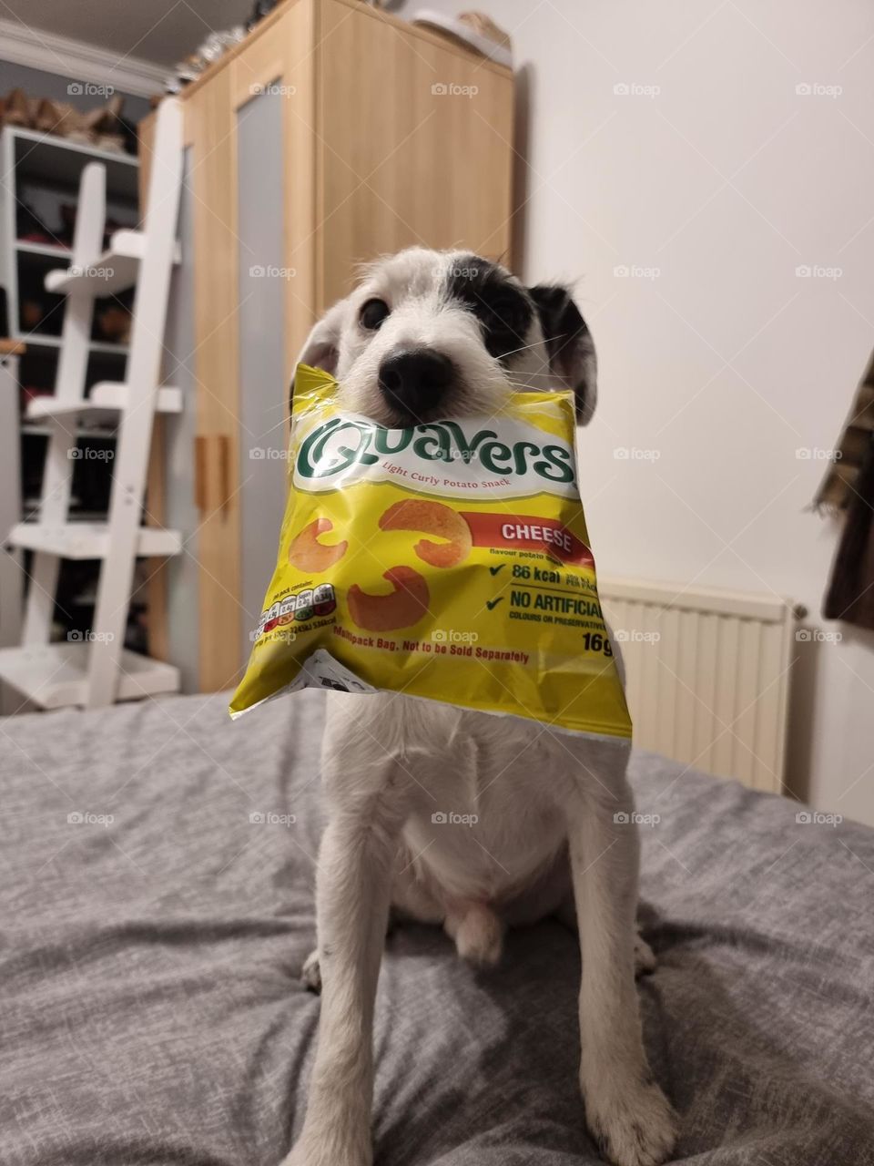 Quavers