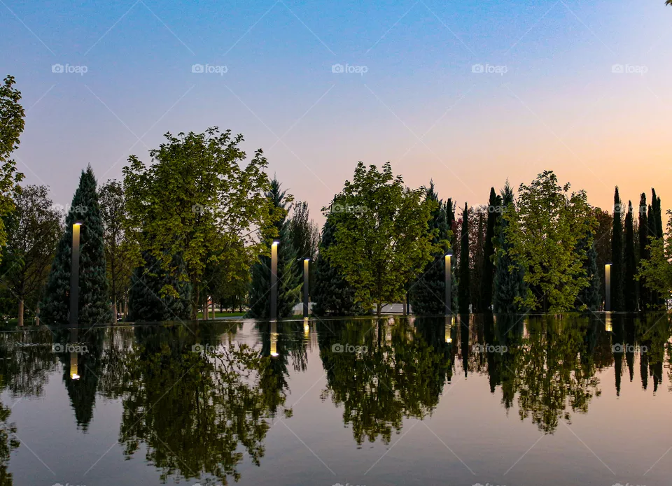 Nature