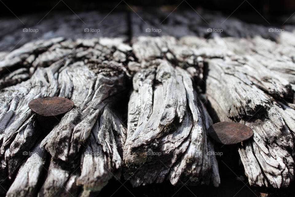 Old Wood At Railroad