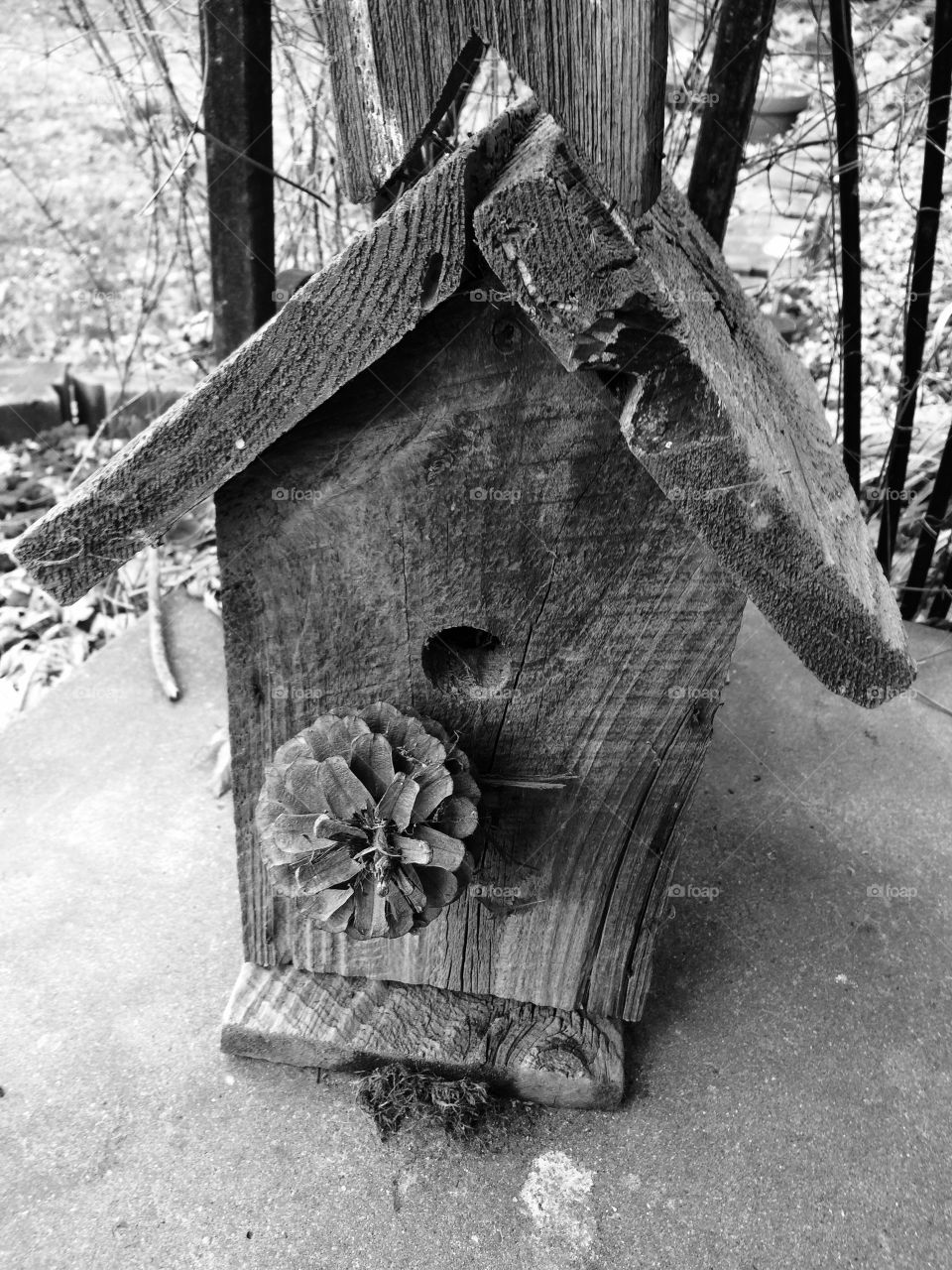 Birdhouse 